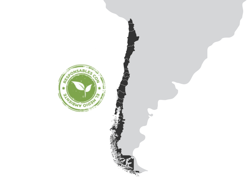 Envío a todo Chile Envío a todo Chile